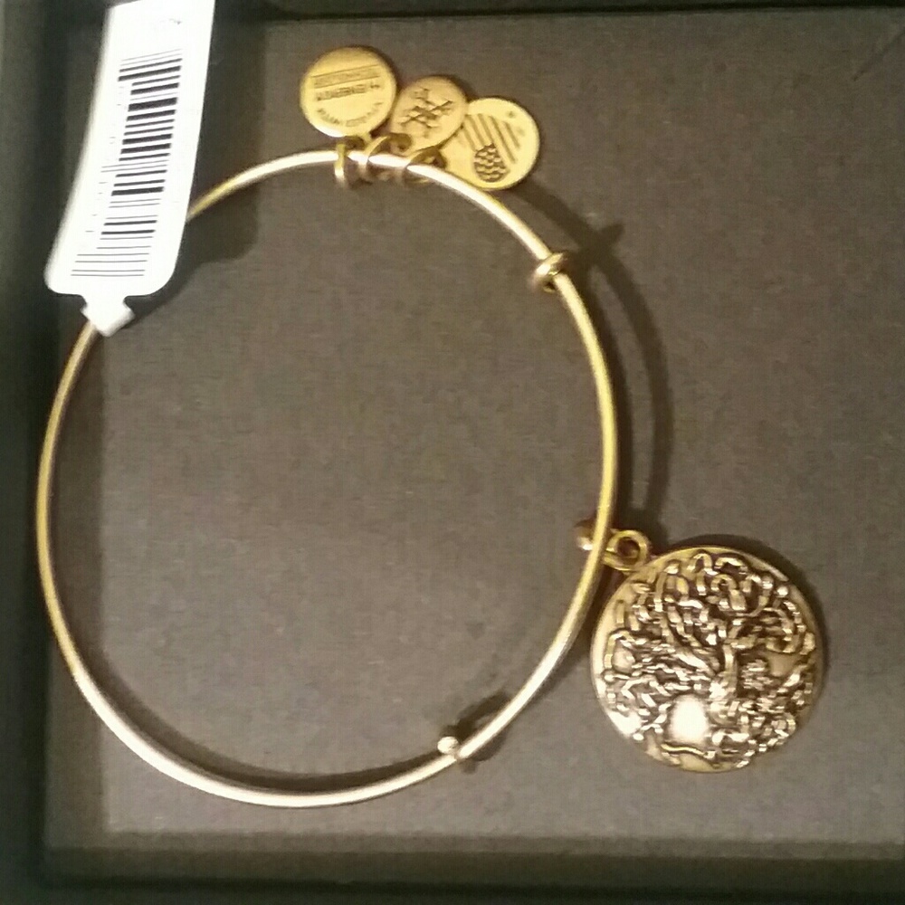 Alex and Ani